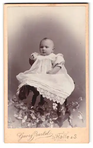 Fotografie Georg Bartel, Halle / Saale, Leipzigerstr. 64, Baby im Taufkleid