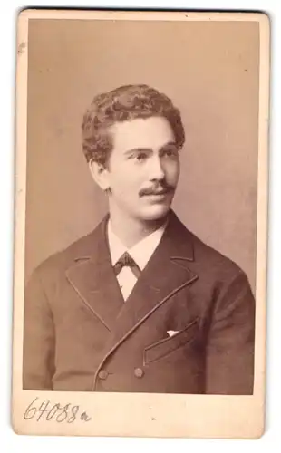 Fotografie Teich Hanfstaengel, Dresden, Portrait junger Mann mit Locken im Anzug