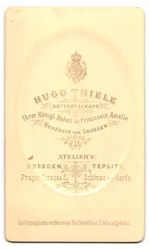 Fotografie Hugo Thiele, Teplitz, Schönau zur Harfe, Portrait hübsche Dame mit geflochtenem Haar