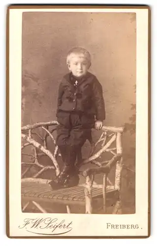 Fotografie F. W. Seifert, Freiberg, Neugasse, Portrait kleiner Junge in modischer Kleidung