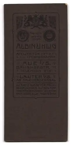 Fotografie Albin Uhlig, Aue i. Erzg., Bahnhofstr. 11, Portrait junge Frau im grauen Kleid stützt sich auf Ellenbogen