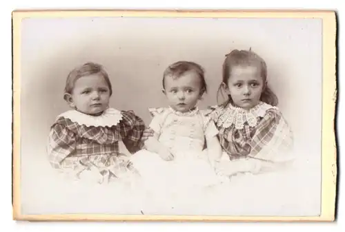 Fotografie A. Steinhäuser, Freiburg i. B., Karthäuserstr. 4, Portrait drei Kleinkindern in karierten und weissen Kleidern