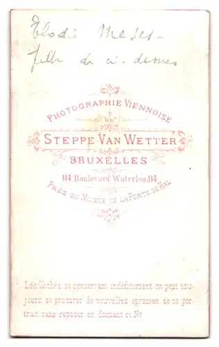Fotografie Steppe-van Wetter, Bruxelles, Boulevard Waterloss 114, Portrait Dame im Biedermeierkleid lehnt auf Bücher