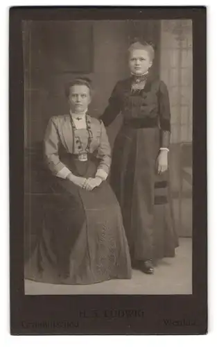 Fotografie H. A. Ludwig, Crimmitschau, Portrait zwei Damen in Biedermeierkleidern mit Brosche