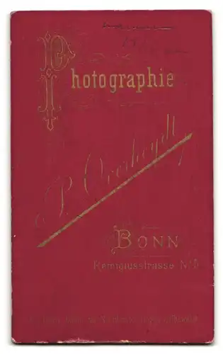 Fotografie P. Overheydt, Bonn, Remigiusstr. 5, Portrait Dame im Biedermeierkleid mit Brosche und Locken