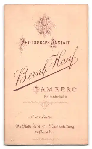 Fotografie Bernh. Haaf, Bamberg, Kettenbrücke, Portrait junger Mann im Anzug mit markantem Kinn