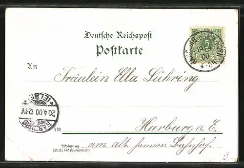 Lithographie Hamburg-St.Georg, Hote Hamburg-Hof, Gasthaus Alster-Lust, Lombardsbrücke