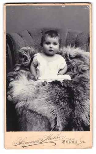 Fotografie Hermann Müller, Sorau N. L., Logenstrasse 8, Baby auf felldecke sitzend