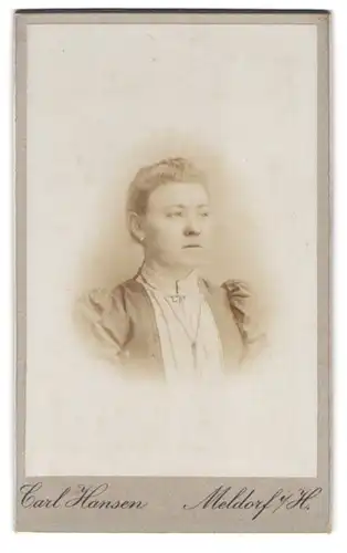 Fotografie Carl Hansen, Meldorf, Zingelstr. 32, Portrait Dame mit Halskette & Brosche