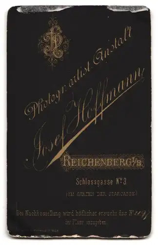 Fotografie Josef Hoffmann, Reichenberg i. B., Schlossgasse 3, älterer Mann im Anzug mit Vollbart