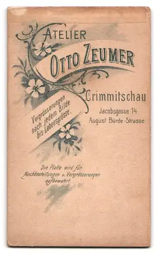 Fotografie Otto Zeumer, Crimmitschau, Jacobsgasse 14, Dame im dunklen Kleid mit Ohrringen