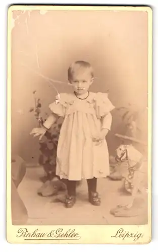 Fotografie Pinkau & Gehler, Leipzig, Turnerstrasse 11, Portrait kleines Mädchen im hübschen Kleid