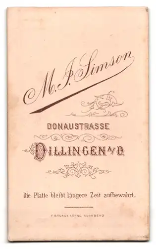 Fotografie M. Simson, Dillingen a. D., Donaustrasse, junger Mann mit Hut und Stock