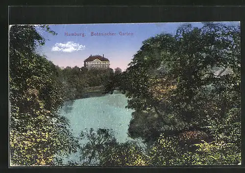 AK Hamburg-St. Pauli, idyllischer Teich im botanischen Garten