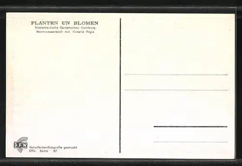 AK Hamburg-St. Pauli, Planten un Blomen, Warmwasserteich mit Victoria Regia, Niederdeutsche Gartenschau