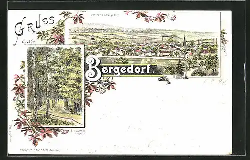 Lithographie Hamburg-Bergedorf, Panorama, Schiessthal im Gehölz