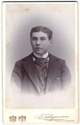 Fotografie F. Tellgmann, Eschwege, Portrait Bursche im Anzug mit breiter Krawatte