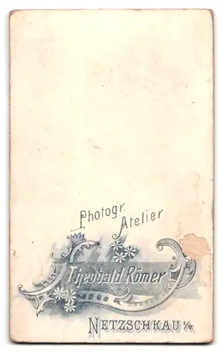 Fotografie Theobald Römer, Netzschkau i /V., Portrait kleiner Junge in hübscher Kleidung