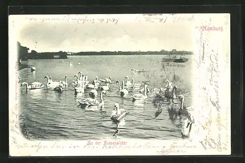 AK Hamburg-St.Georg, An der Aussenalster mit Schwänen