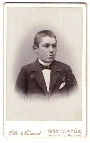 Fotografie Otto Asimont, Geringswalde, Junger Mann im Anzug mit weissem Einstecktuch