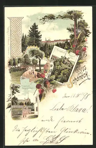 Lithographie Schöneck, Gasthaus Tannenhaus, Friedrich-August Stein, Totalansicht vom Ort