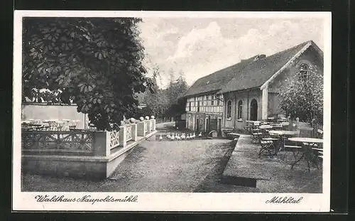 AK Eisenberg i. Thür., Gasthaus Naupoldsmühle im Mühltal