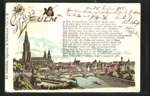 Lithographie Ulm a. D., Totalansicht mit Kirche und Brücke