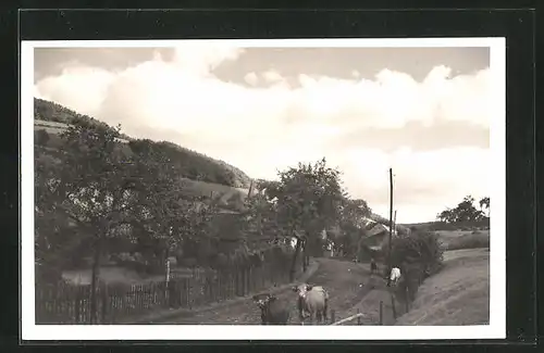 Foto-AK Michelbach / Gerolstein, Feldweg mit Kühen