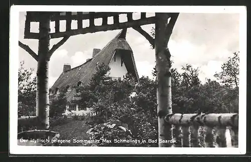 AK Bad Saarow, Sommersitz Max Schmelings