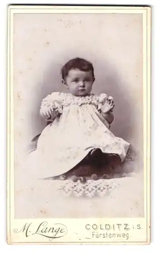 Fotografie M. Lange, Colditz i. S., Fürstenweg, Portrait süsses Kleinkind im Kleid