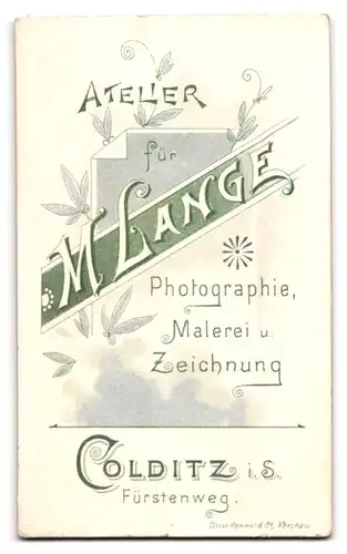 Fotografie M. Lange, Colditz i. S., Fürstenweg, Portrait süsses Kleinkind im Kleid