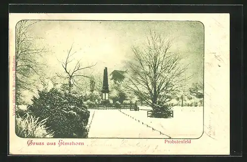 AK Elmshorn, verschneites Probstenfeld