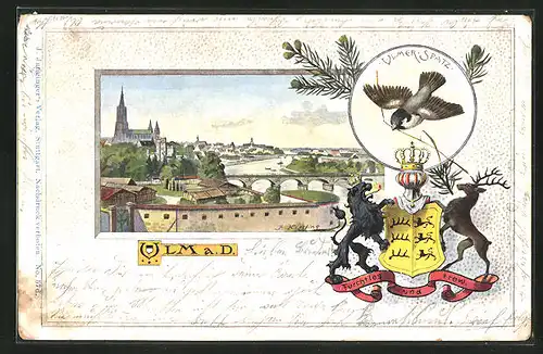 Passepartout-Lithographie Ulm a. D., Teilansicht mit Brücke, Ulmer Spatz, Wappen