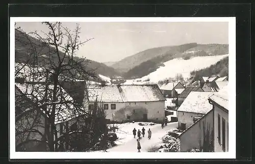 Foto-AK Michelbach /Gerolstein, Ortspartie und Anwohner mit Schlitten im Winter 1929