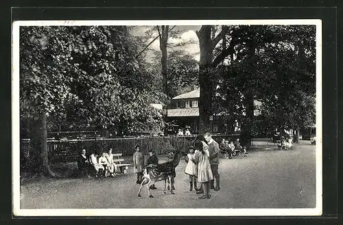 AK Leipzig, Connewitz, Restaurant Hirschpark im Connewitzer Wald und Kinder mit Reh