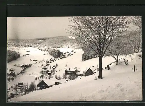 Foto-AK Steindöbra, Ortspartie im Schnee