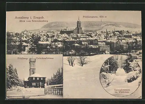 AK Annaberg i. Erzgeb., Pöhlberg-Unterkunftshaus, Blick vom Schreckenberg mit Pöhlbergturm, Springbrunnen im Schnee