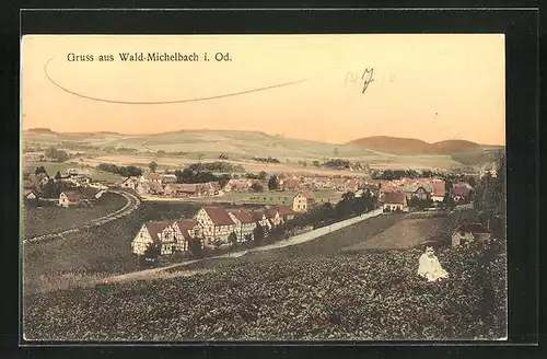 AK Wald-Michelbach i. Od., Ausblick auf den Ort