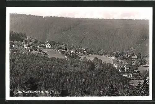 AK Bärenfels /Osterzgebirge, Stadt umringt von Wald
