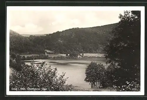 AK Daun /Eifel, Blick auf das Gemündener Maar