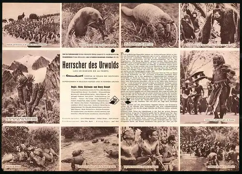 Filmprogramm IFB Nrt. 4727, Herrscher des Urwalds, Regie: Heinz Sielmann, Henry Brandt, Dokumentarfilm, Afrika