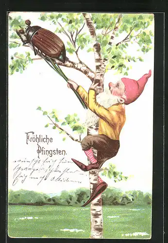 Künstler-AK Pfingsten, ein Maikäfer und ein Zwerg auf dem Baum