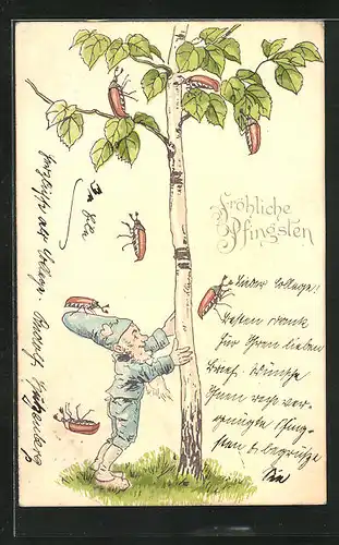 Künstler-AK Pfingsten, Zwerg schüttelt Maikäfer vom Baum