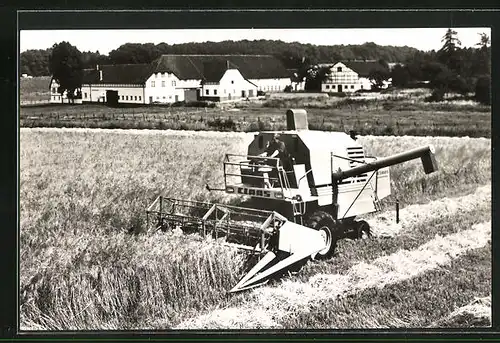 AK Mähdrescher Claas Mercator, auf dem Feld bei der Weizenernte