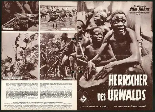 Filmprogramm IFB Nr. 4727, Herrscher des Urwalds, Regie: H. Sielmann, H. Brandt, Dokumentarfilm, Afrika