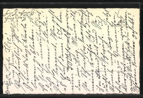 AK Braunschweig, geschädtiges Treiben auf dem Altmarkt