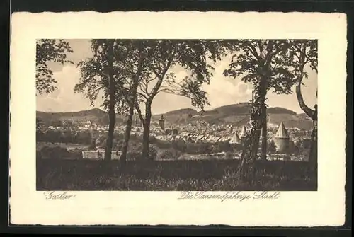 AK Goslar am Harz, Panoramaansicht der tausendjährigen Stadt