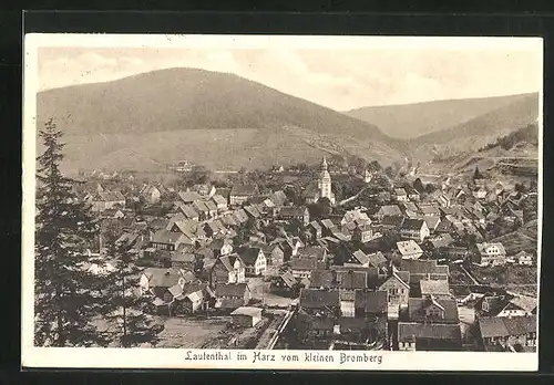 AK Lautenthal im Harz, Gesamtansicht vom kleinen Bromberg aus