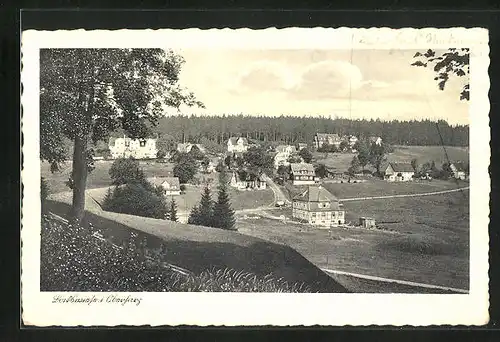 AK Bockswiese /Oberharz, Totalansicht