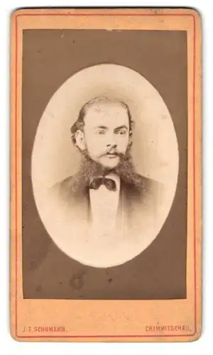 Fotografie J. F. Schumann, Crimmitschau, Mann im Anzug mit Kinnbart